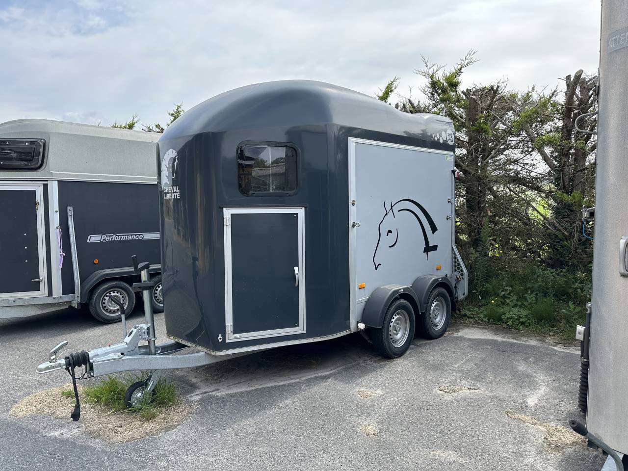 Van caballos Cheval Liberté GOLD 3 2 Caballos 2023 De segunda mano