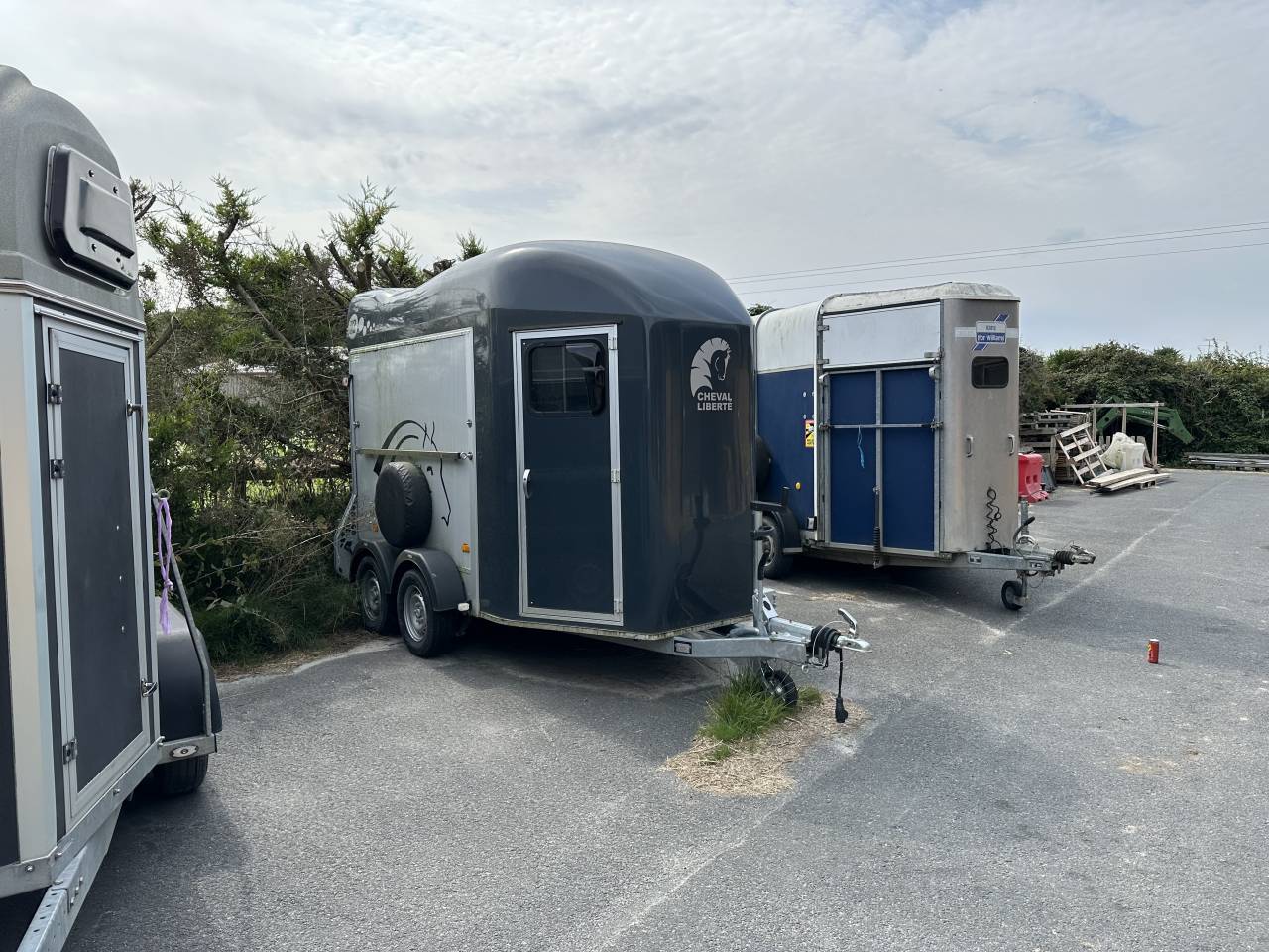 Van caballos Cheval Liberté GOLD 3 2 Caballos 2023 De segunda mano