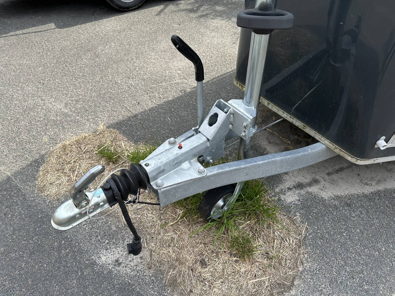 Van caballos Cheval Liberté GOLD 3 2 Caballos 2023 De segunda mano