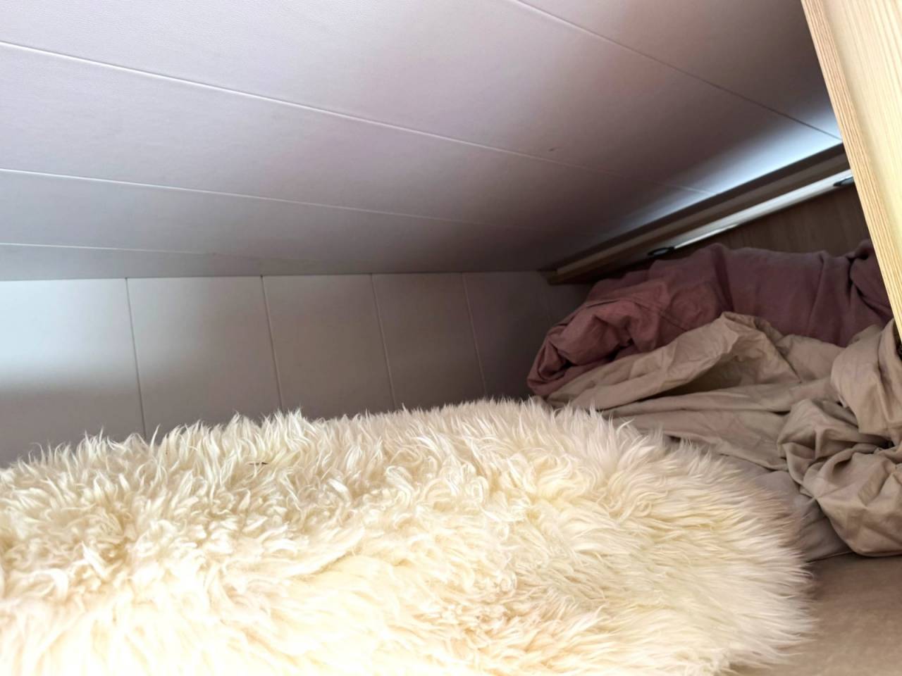 Camión para caballos Otra marca VOLVO 0 De segunda mano