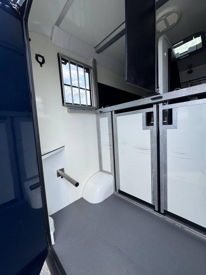 Furgoneta para caballos Renault STX 2015 De segunda mano