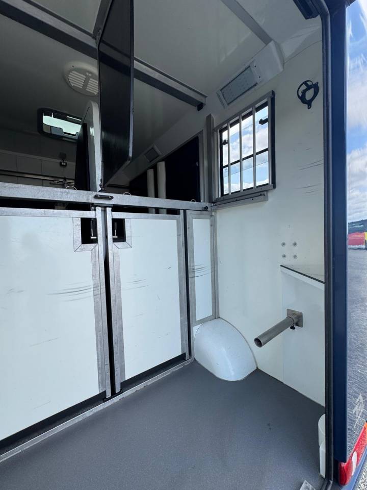 Furgoneta para caballos Renault STX 2015 De segunda mano