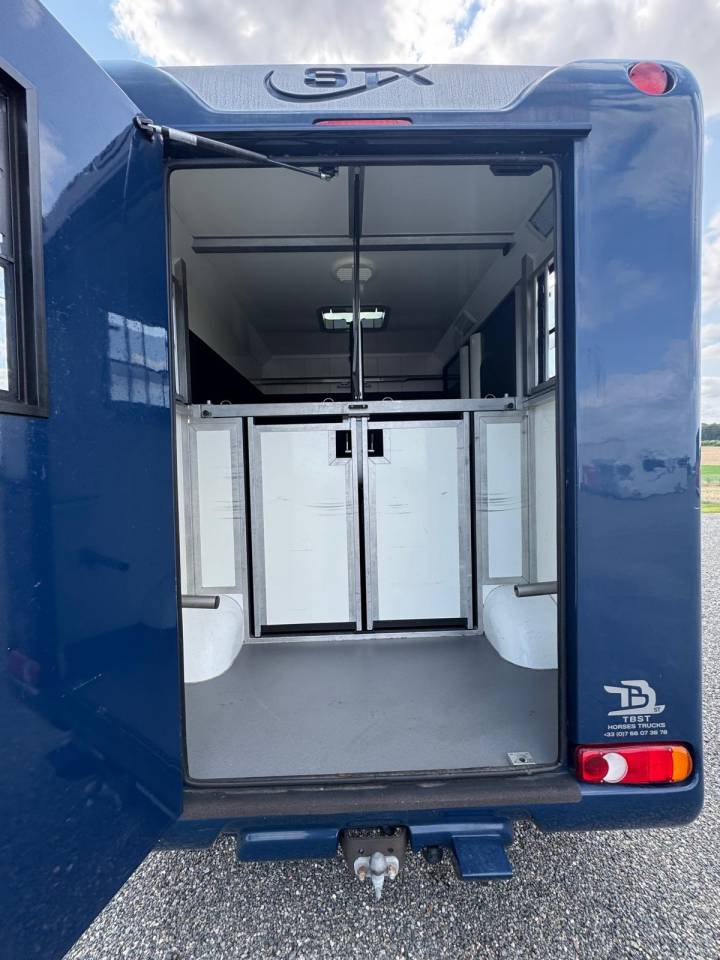 Furgoneta para caballos Renault STX 2015 De segunda mano