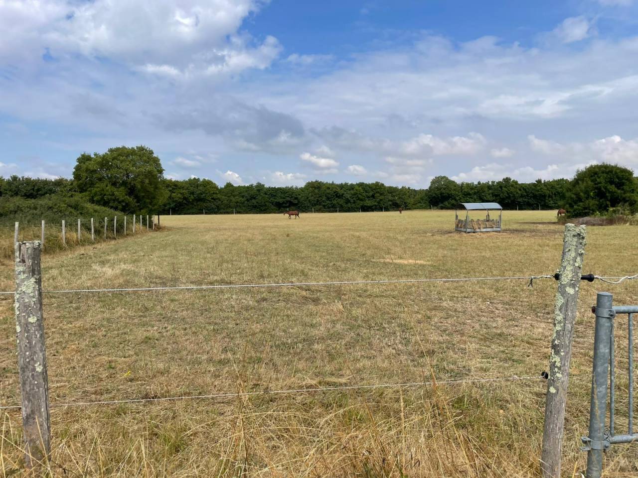 Propiedad ecuestre En venta Deux-Sèvres