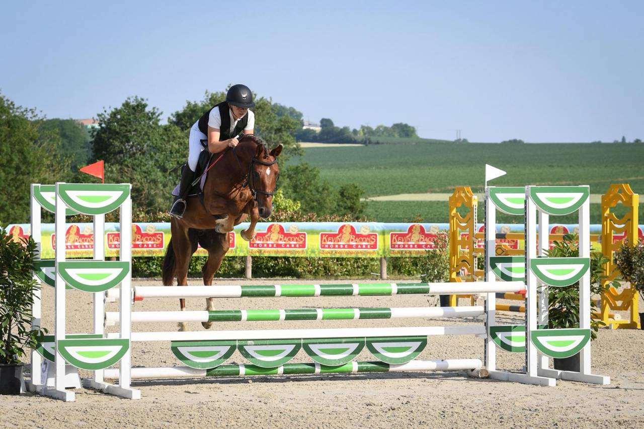 Caballo castrado PFS Poni Françés de Silla En venta 2021 Alazán por ELDORADO D'ELLE, SF