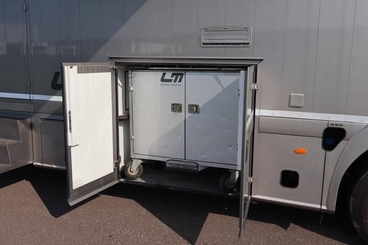 Camión para caballos STX IVECO 26.360 2011 De segunda mano