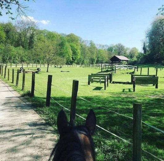 Cuadra de propietarios En venta Oise