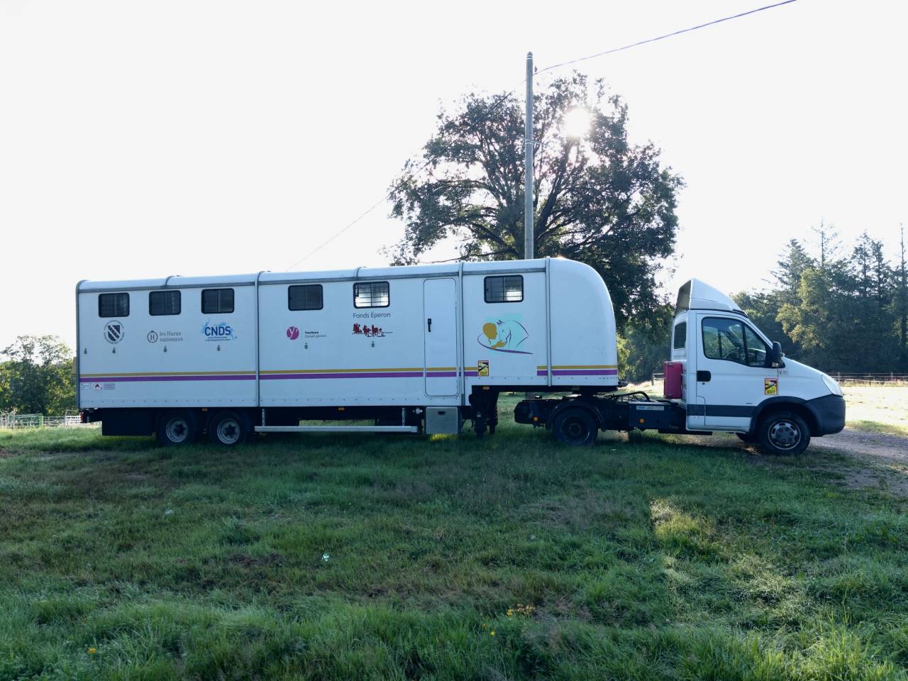 Furgoneta para caballos Iveco IVECO 35C18 / Semi Remorque VOW 2010 De segunda mano