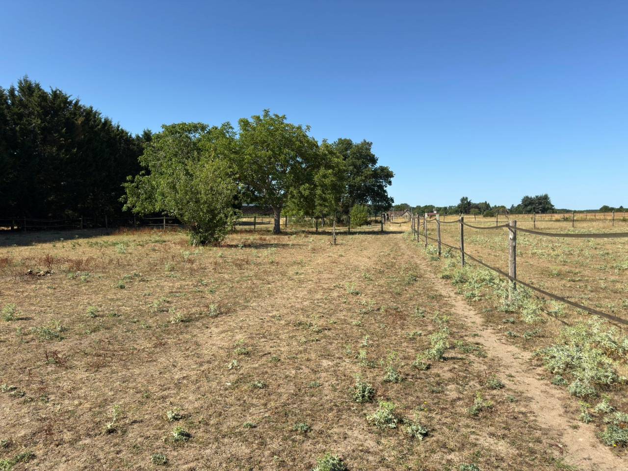 Propiedad ecuestre En venta Loir y Cher