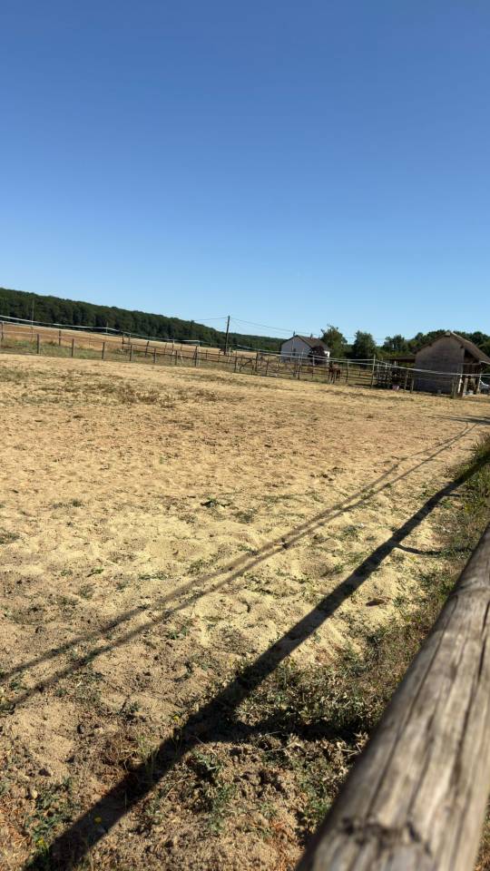 Propiedad ecuestre En venta Loir y Cher