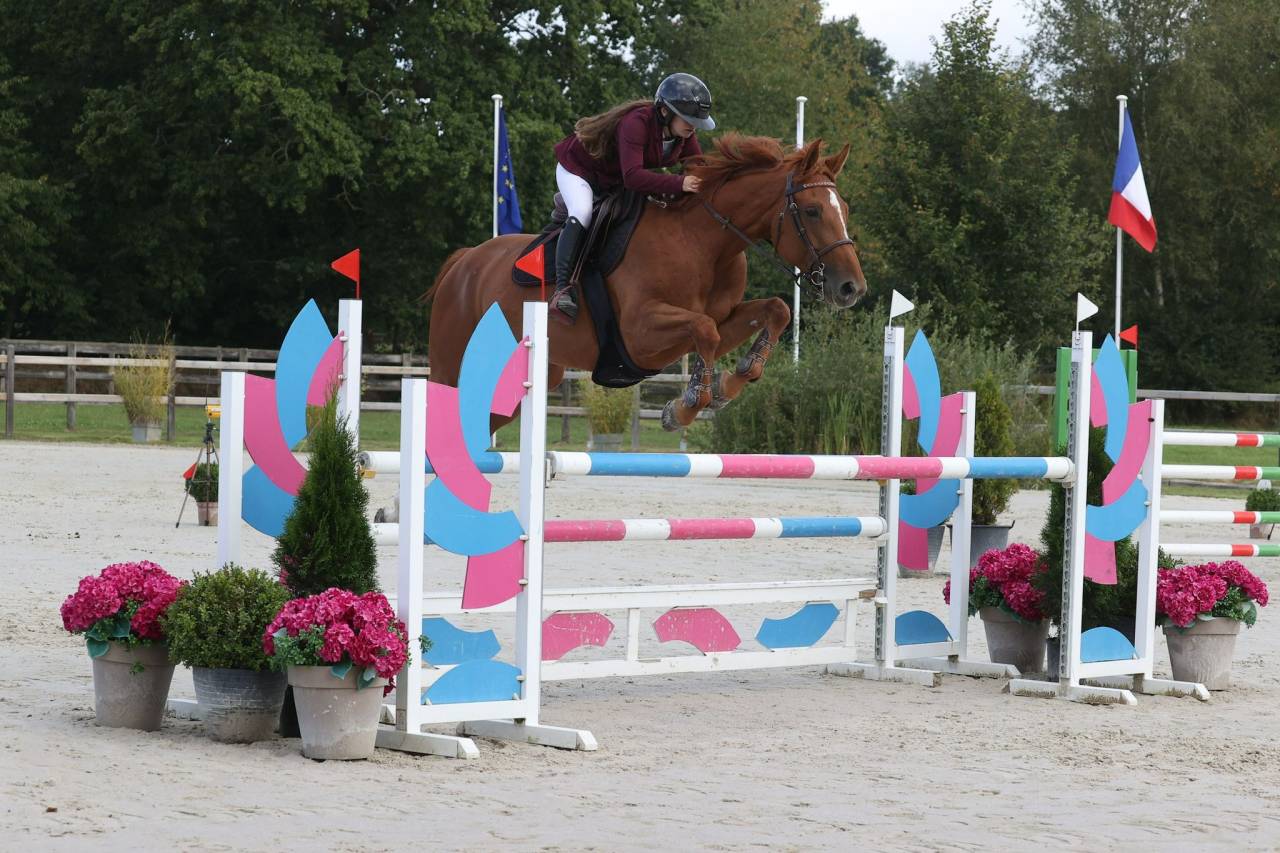 Yegua Silla Francés En venta 2017 Alazán por DIAMANT DE SEMILLY