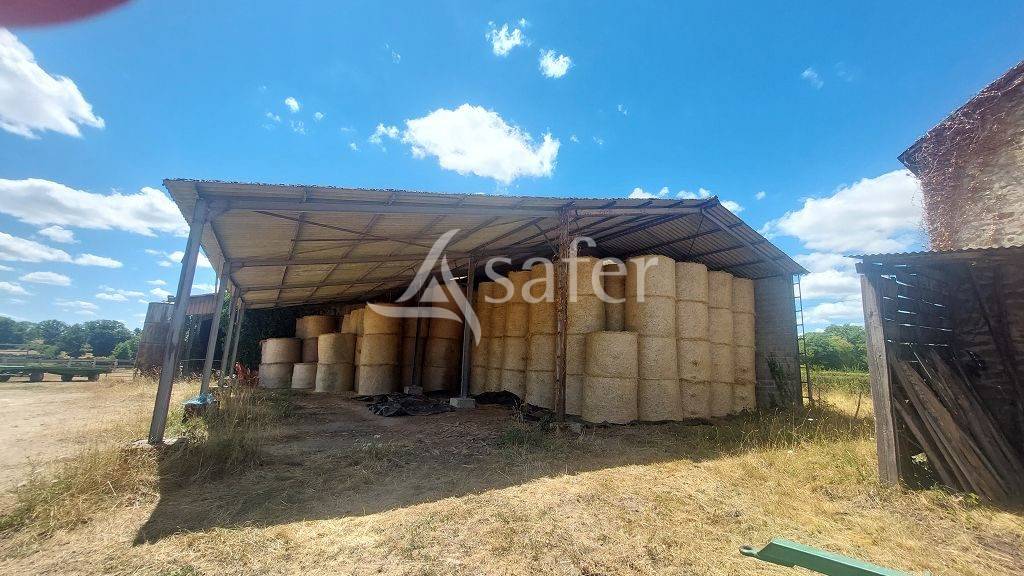 Explotación agrícola En venta Alto Vienne