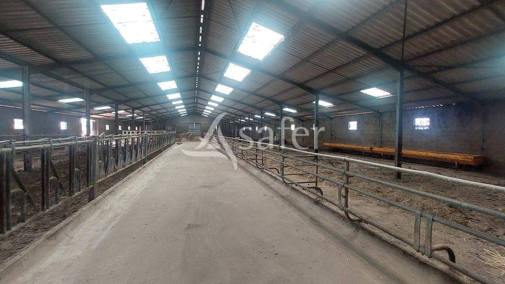 Explotación agrícola En venta Alto Vienne