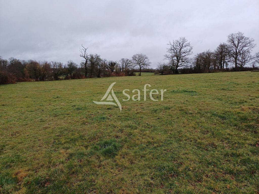 Explotación agrícola En venta Alto Vienne