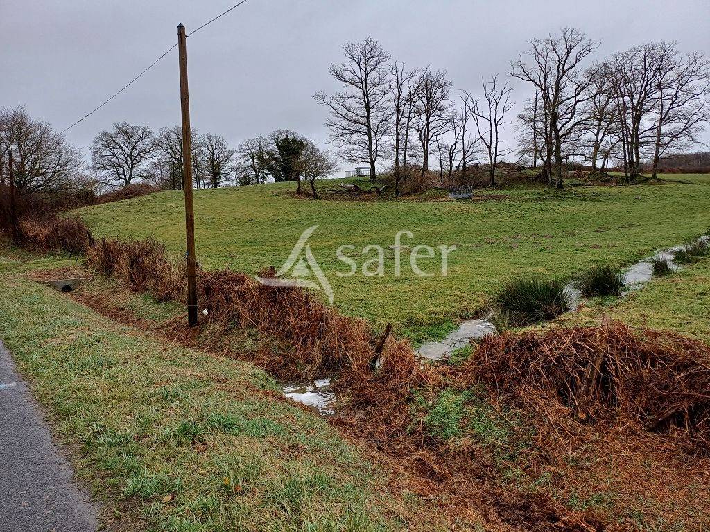 Explotación agrícola En venta Alto Vienne