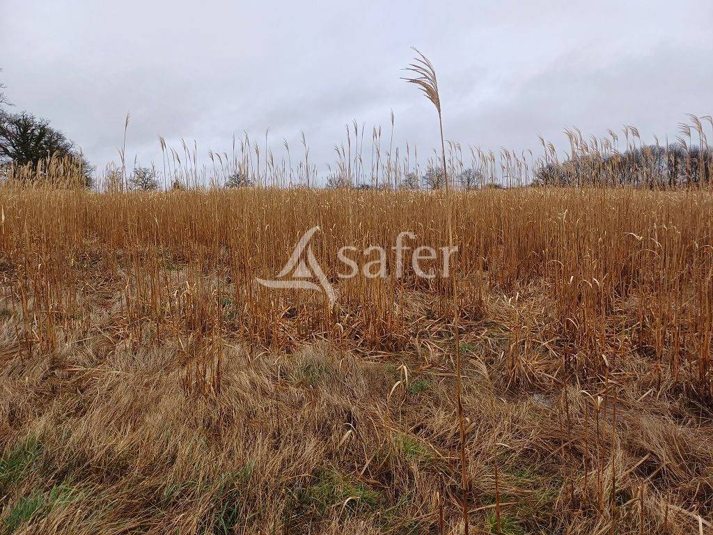 Explotación agrícola En venta Alto Vienne