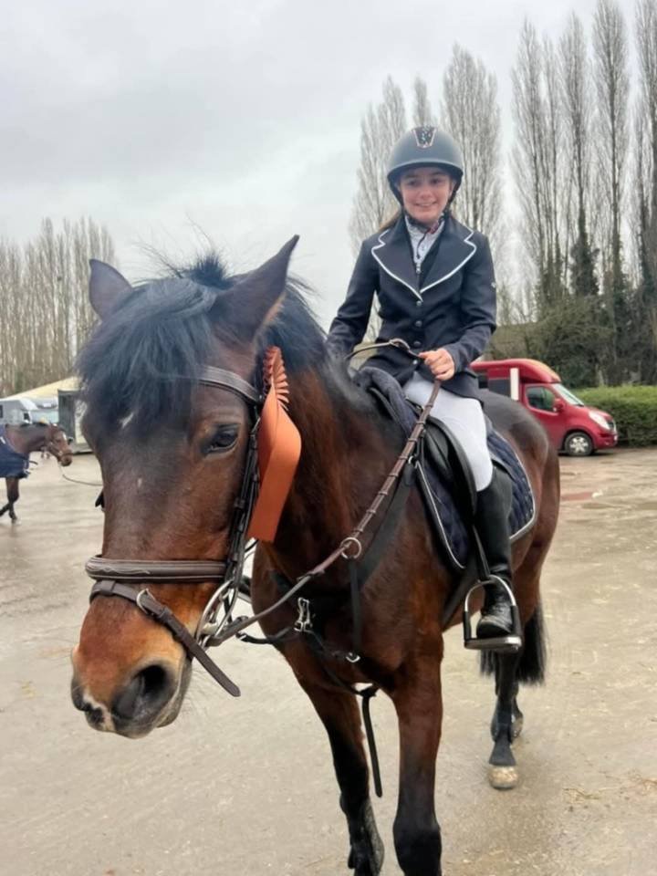 Yegua Connemara En venta 2012 Bayo