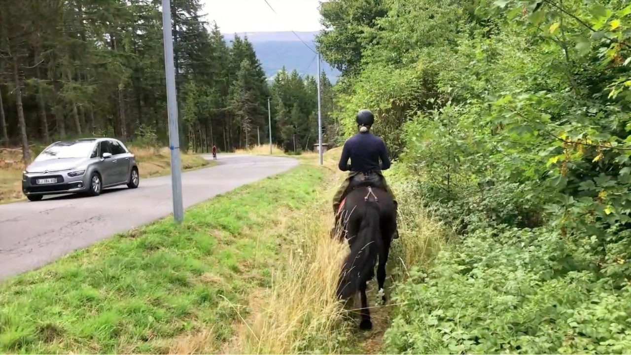 Caballo castrado Mérens En venta 2022 Negro por obao de sie