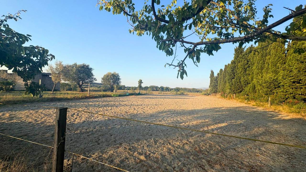 Propiedad de turismo ecuestre En venta Aude