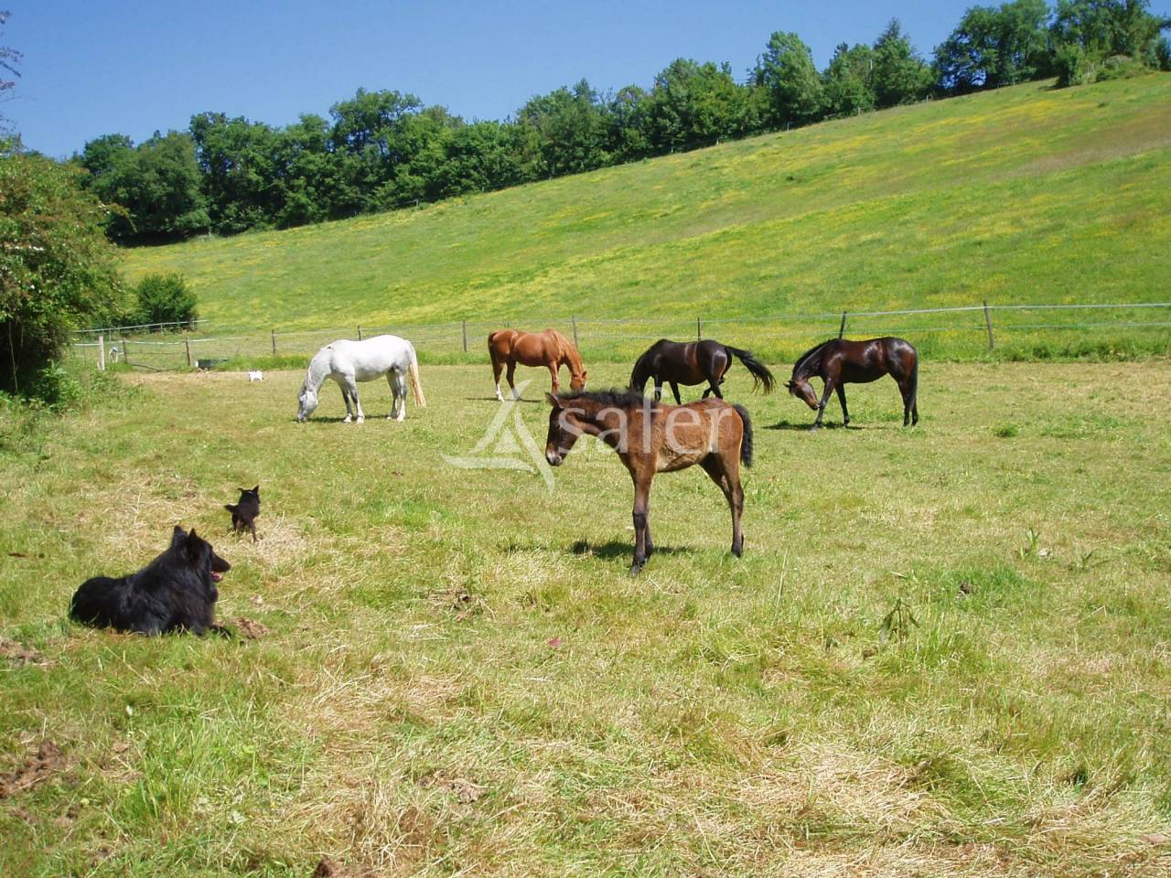 Propiedad rural En venta Gers