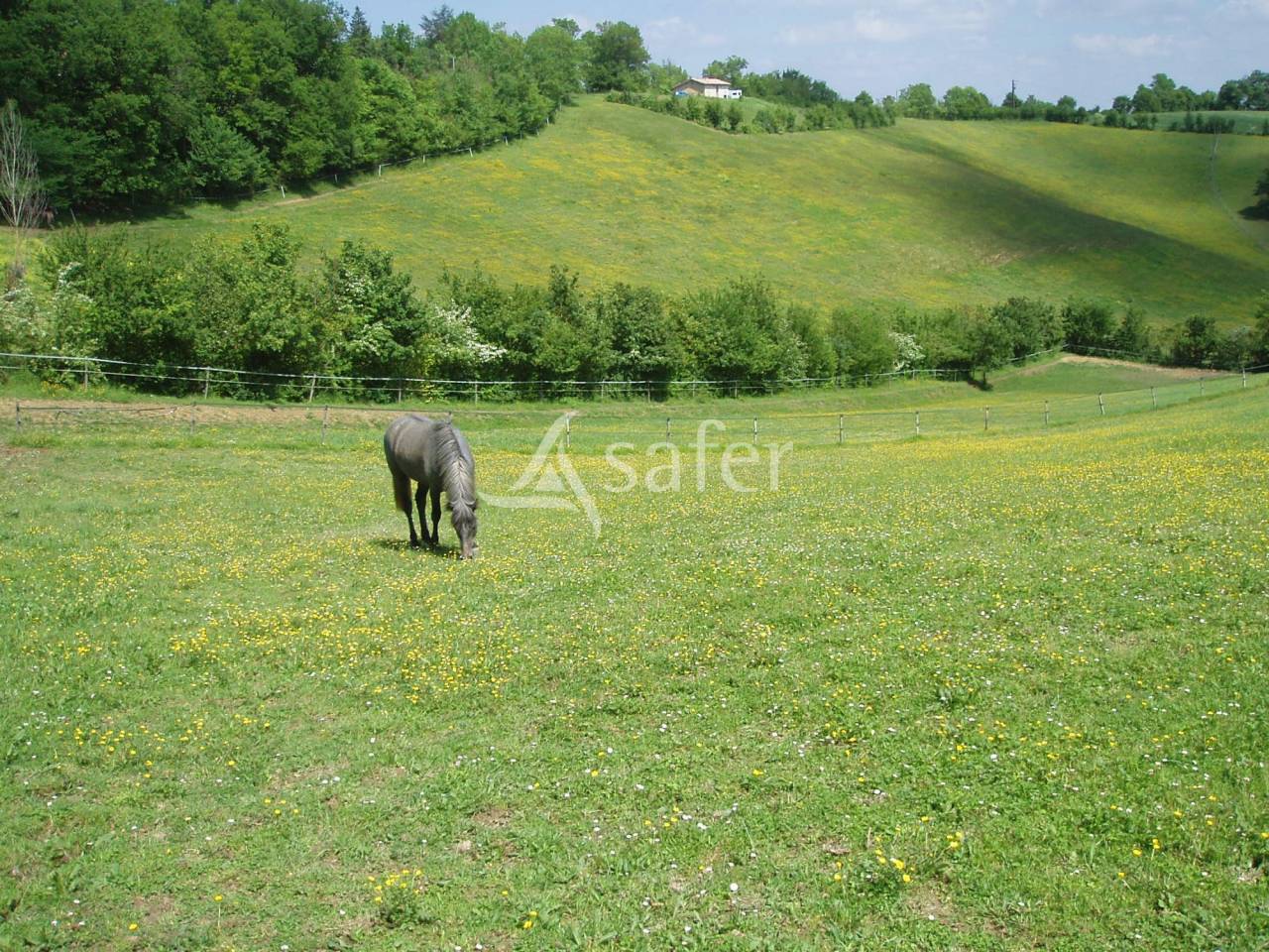 Propiedad rural En venta Gers