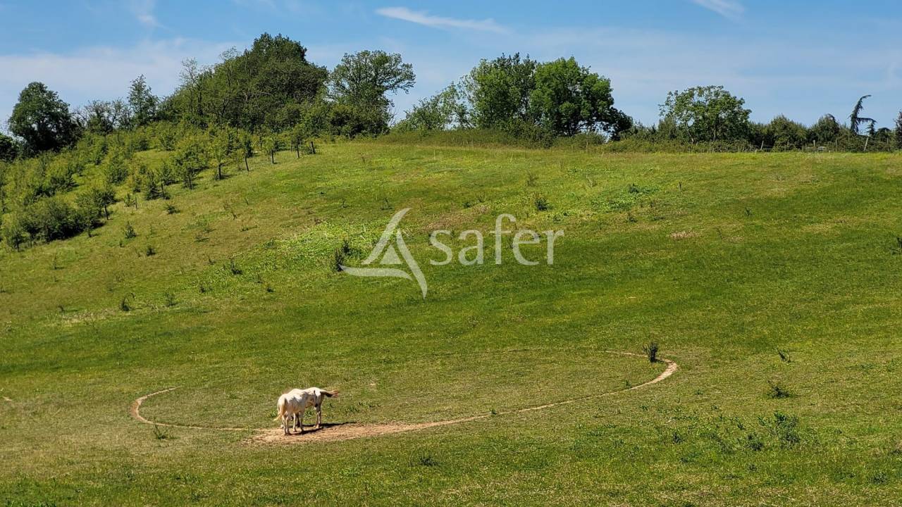 Propiedad rural En venta Tarn