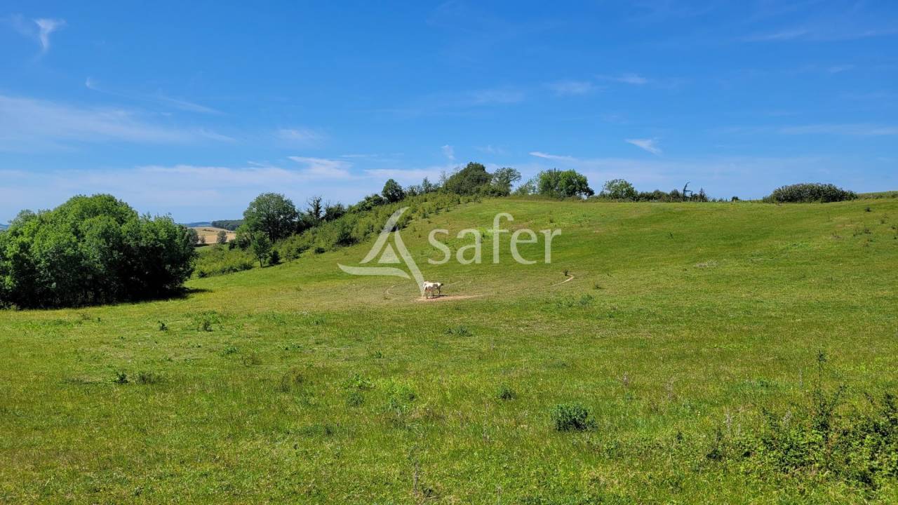 Propiedad rural En venta Tarn