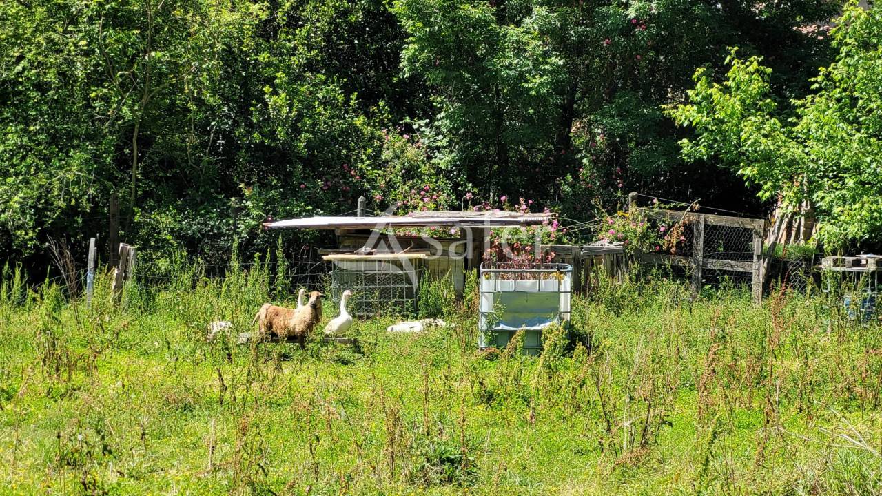 Propiedad rural En venta Tarn