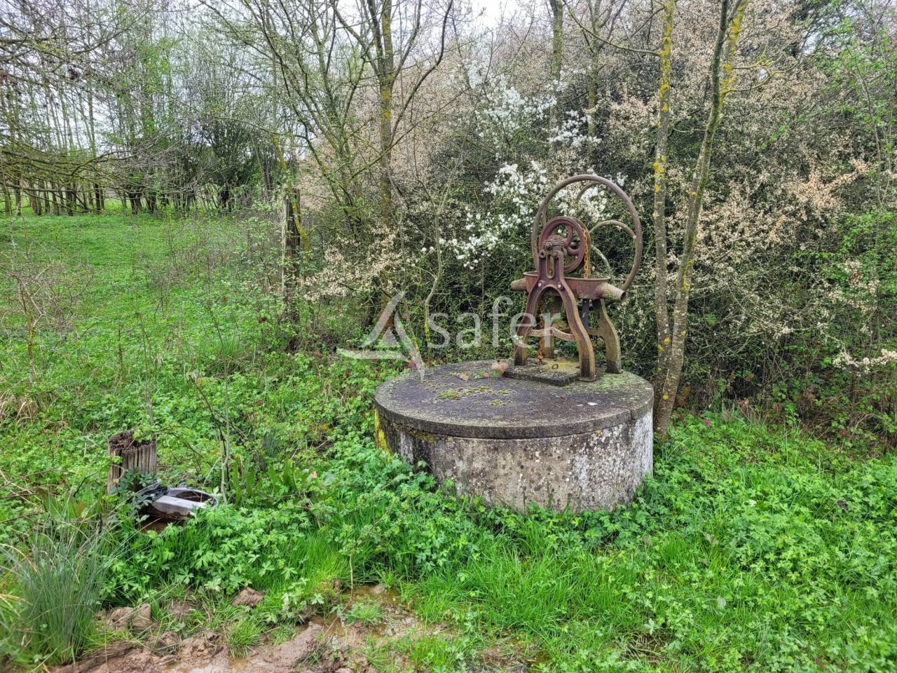 Propiedad rural En venta Tarn