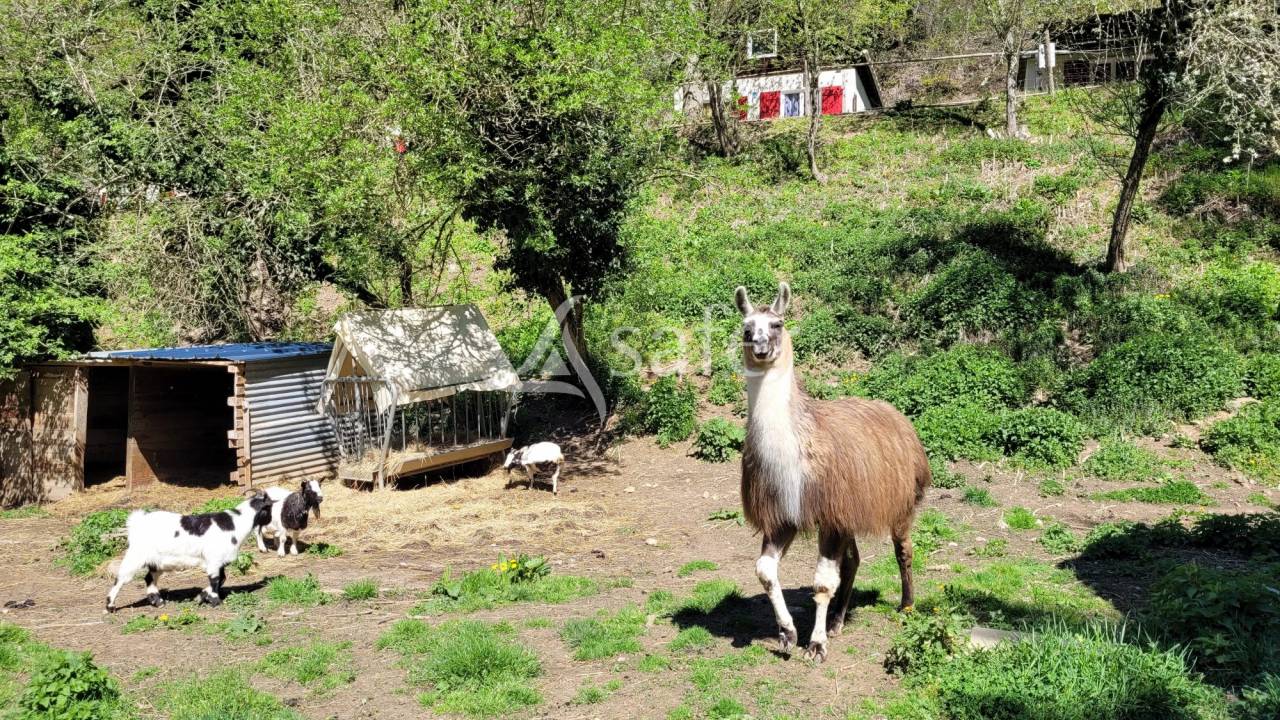 Propiedad rural En venta Tarn