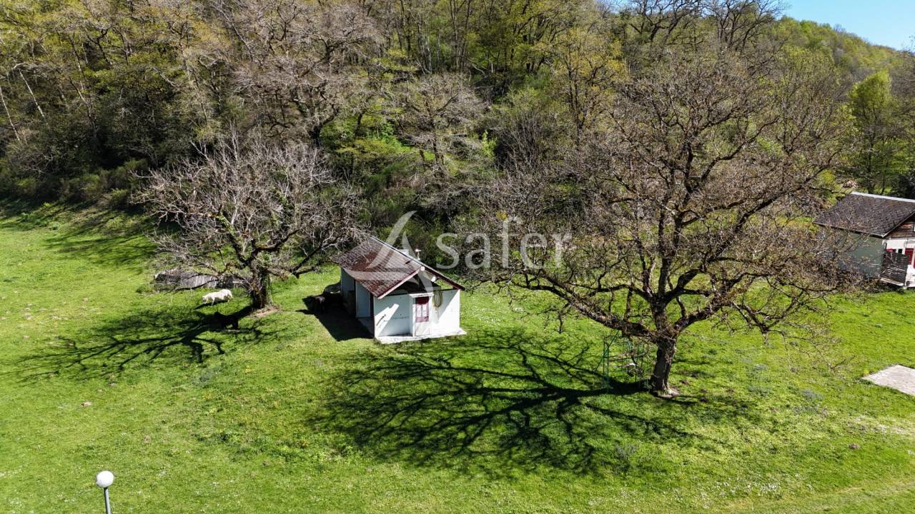 Propiedad rural En venta Tarn