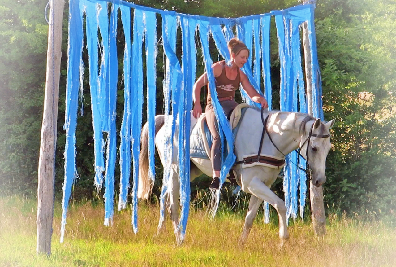 Caballo castrado AQPS En venta 2015 Tordo