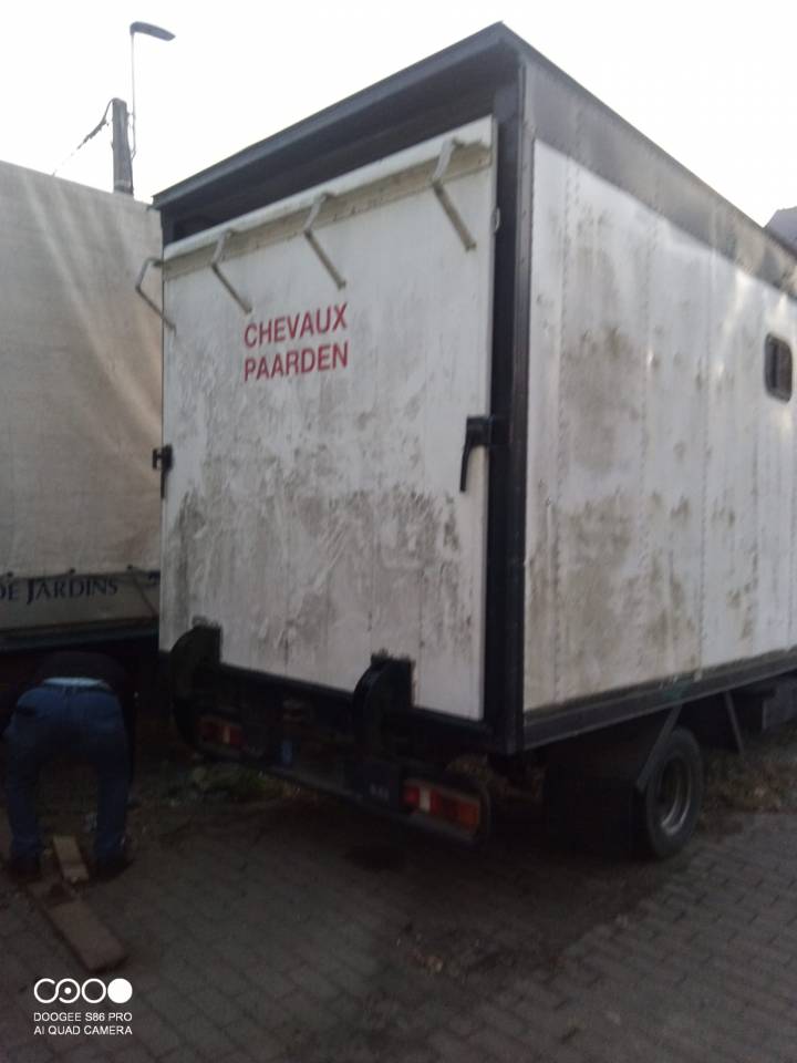 Furgoneta para caballos Daf DAF 400 1993 De segunda mano