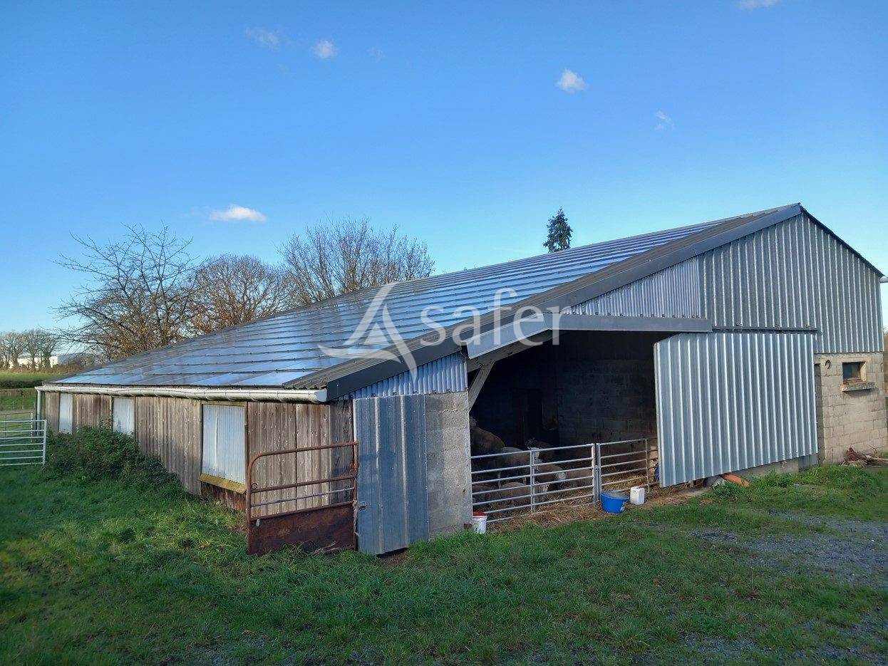 Explotación ovina En venta Maine y Loira