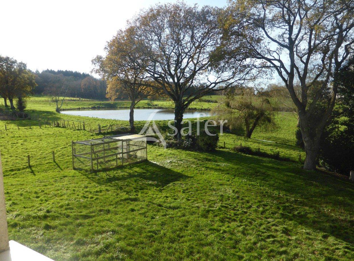 Explotación ovina En venta Maine y Loira