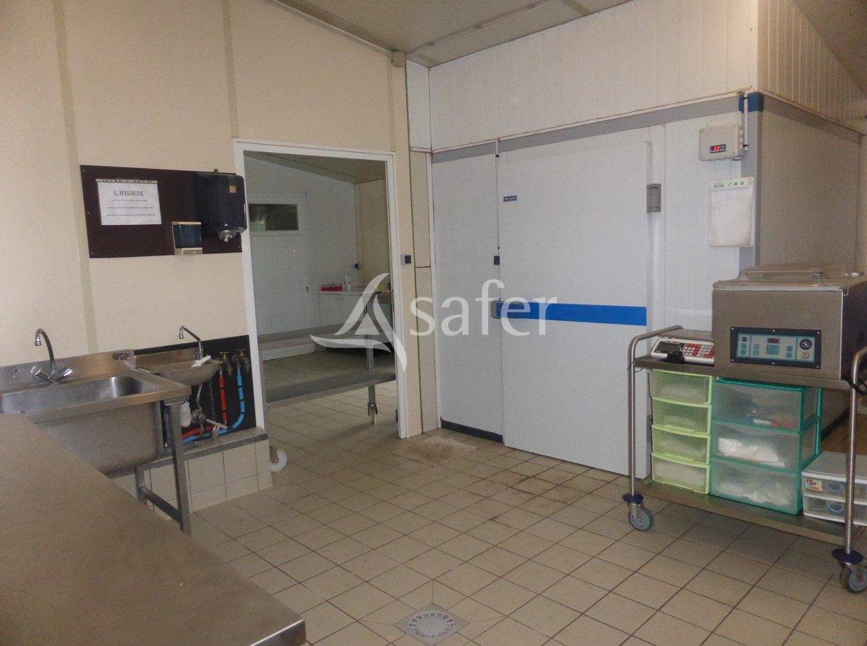 Explotación ovina En venta Maine y Loira