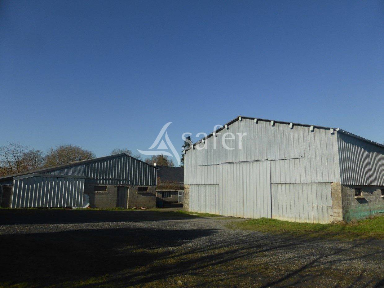 Explotación ovina En venta Maine y Loira