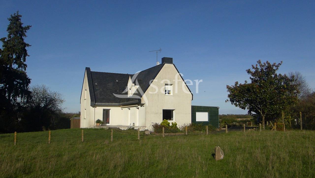 Explotación ovina En venta Maine y Loira