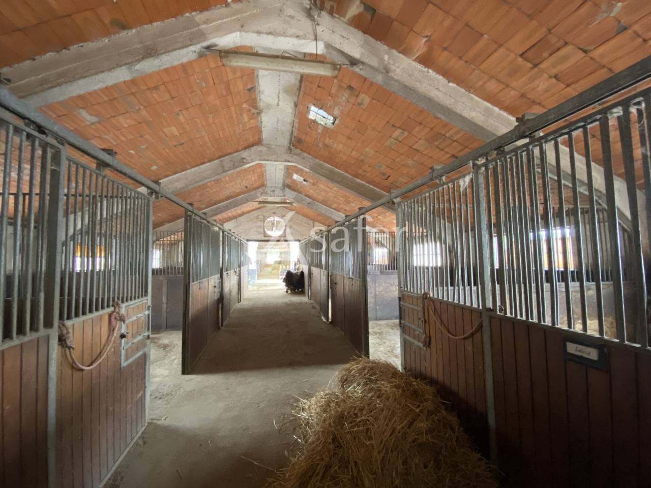 Propiedad ecuestre En venta Orne