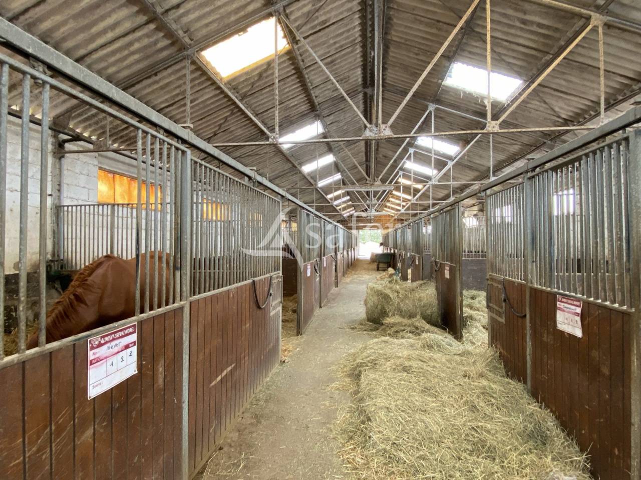 Propiedad ecuestre En venta Orne