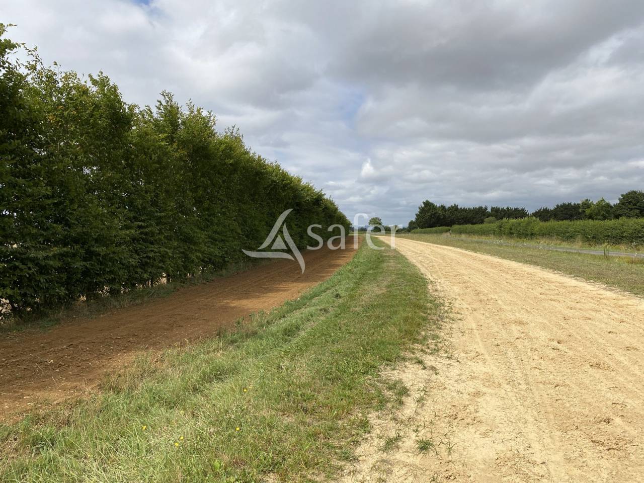 Propiedad ecuestre En venta Orne