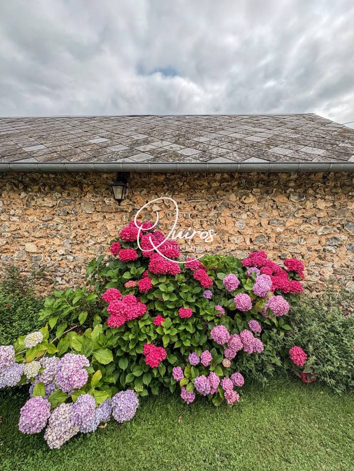 Propiedad ecuestre En venta Eure