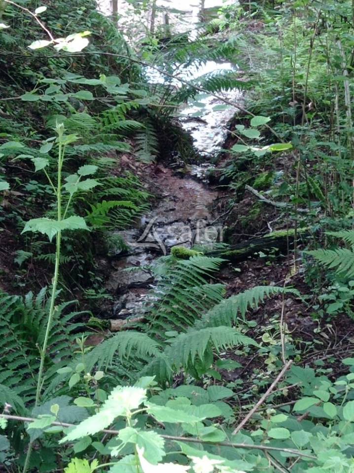 Explotación forestal En venta Saona y Loira