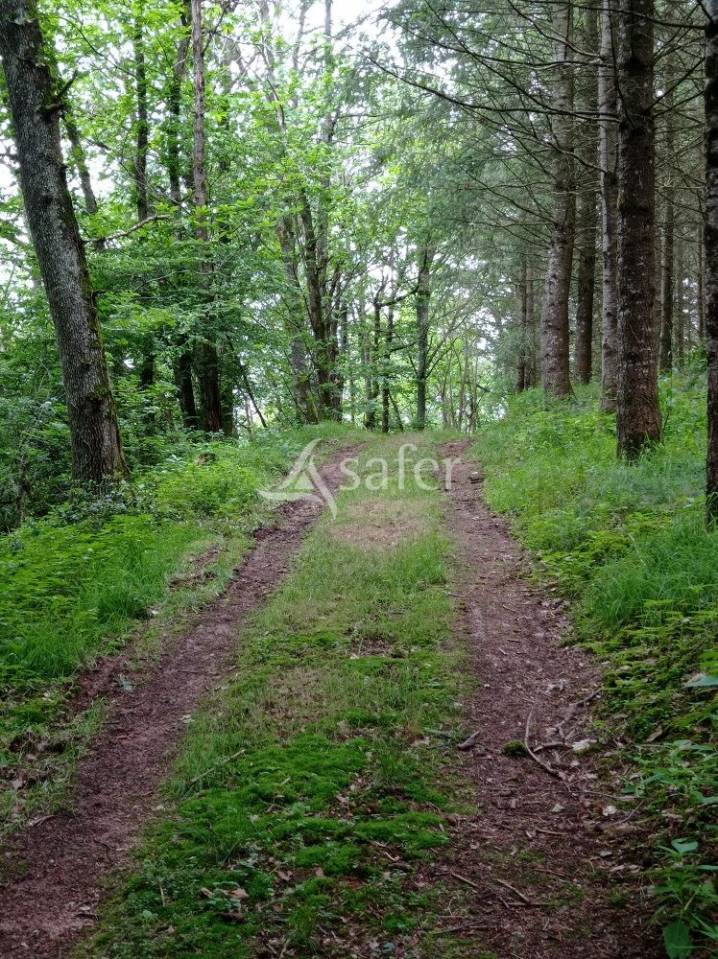 Explotación forestal En venta Saona y Loira