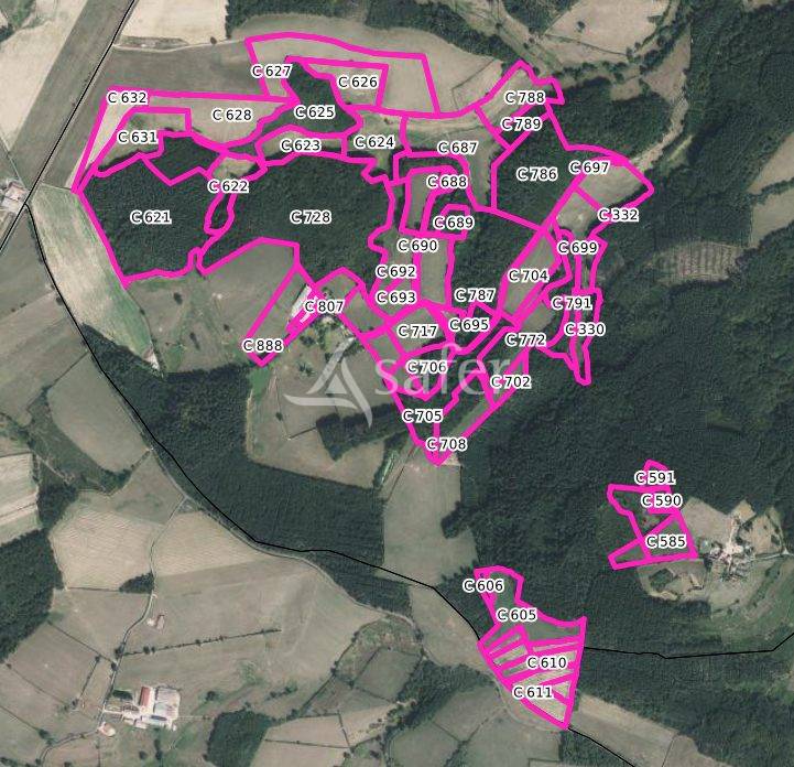 Explotación forestal En venta Saona y Loira