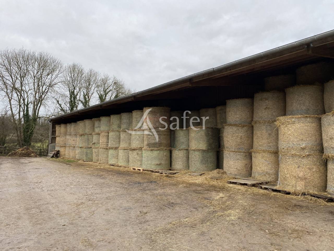 Explotaci&oacute;n agr&iacute;cola En venta Orne