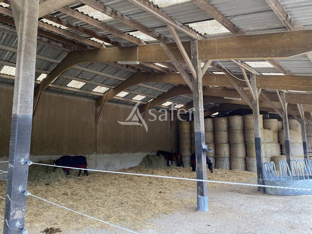 Explotaci&oacute;n agr&iacute;cola En venta Orne