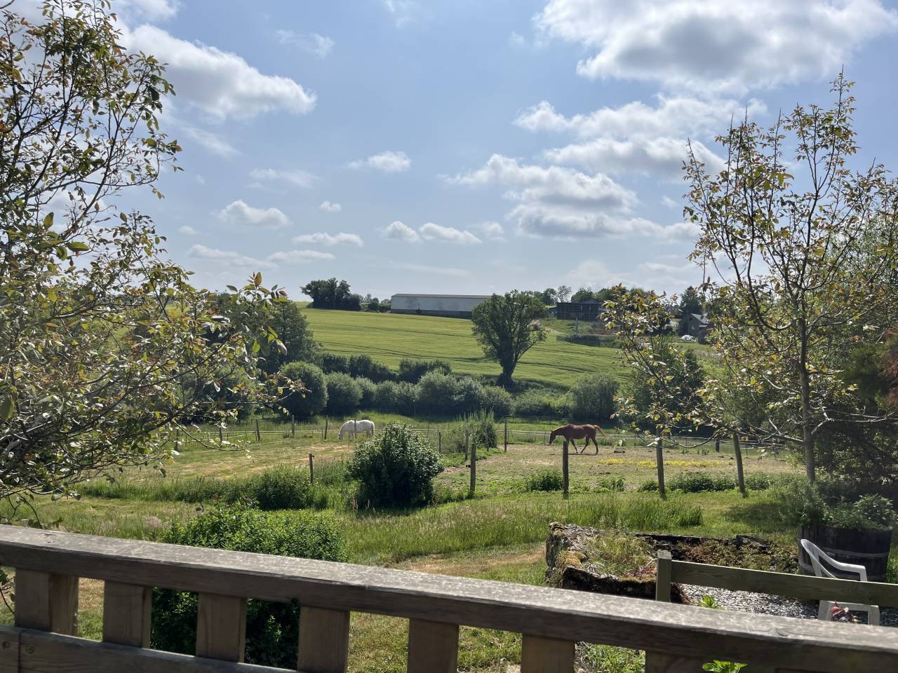 Propiedad ecuestre En venta Mayenne