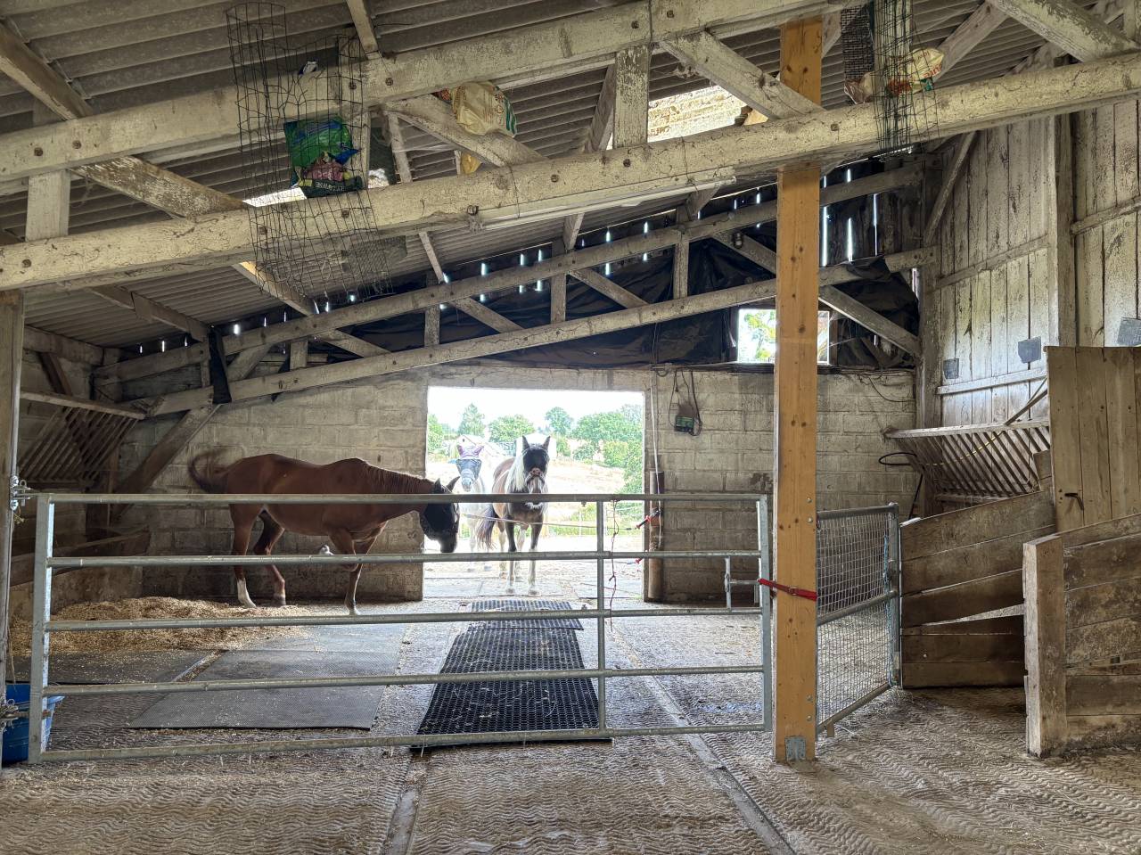 Propiedad ecuestre En venta Mayenne