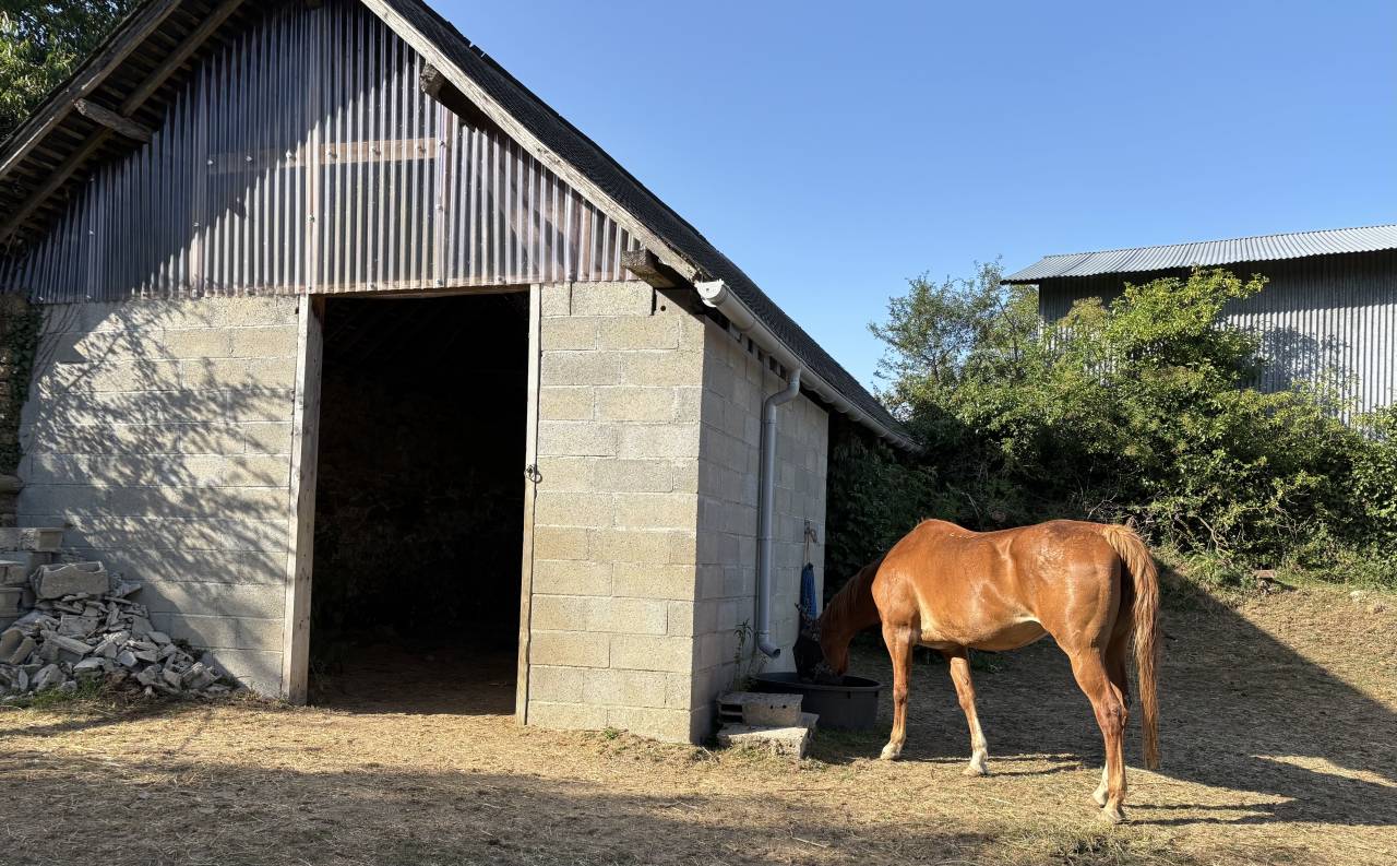 Propiedad ecuestre En venta Mayenne